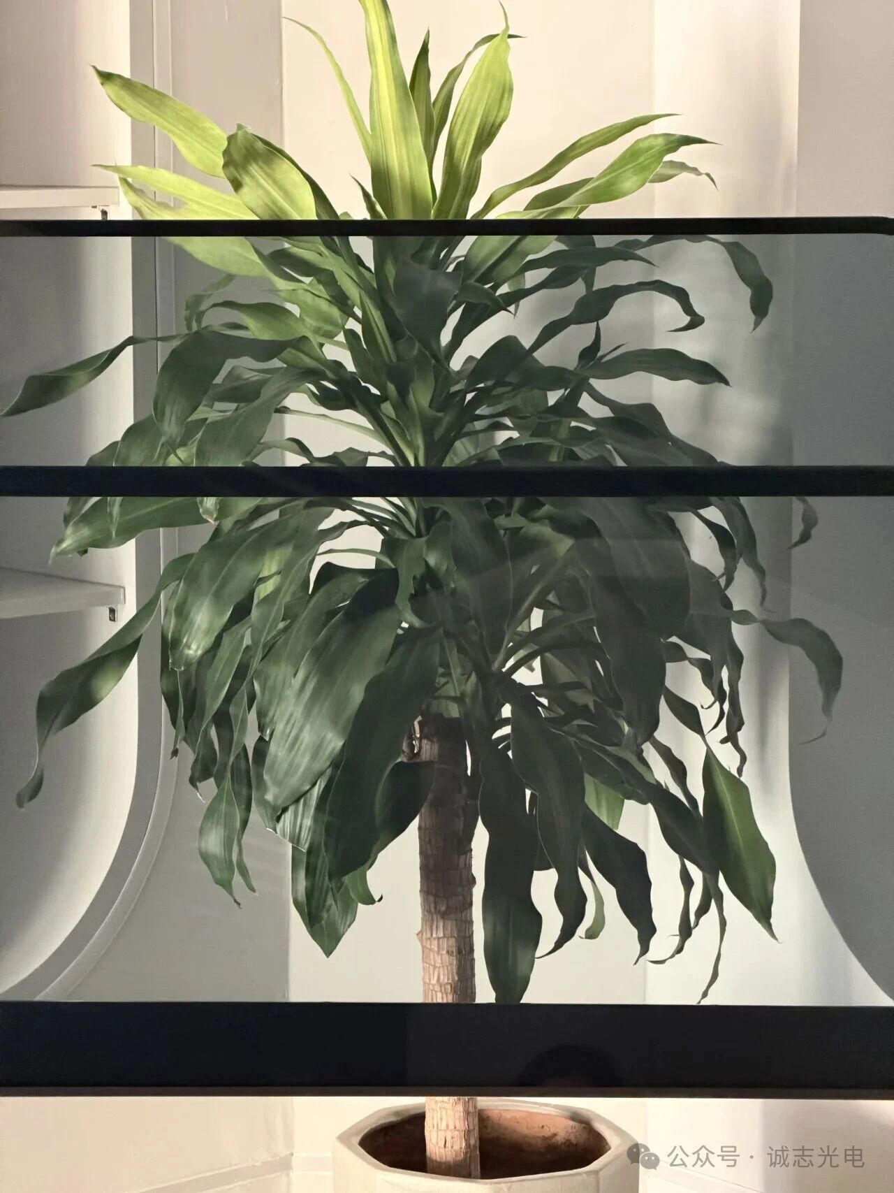 WeChat Image_2025-11-28_084323_930.jpg