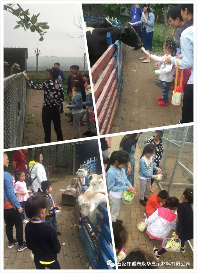 640 - 2025-12-12T111657.313.jpg